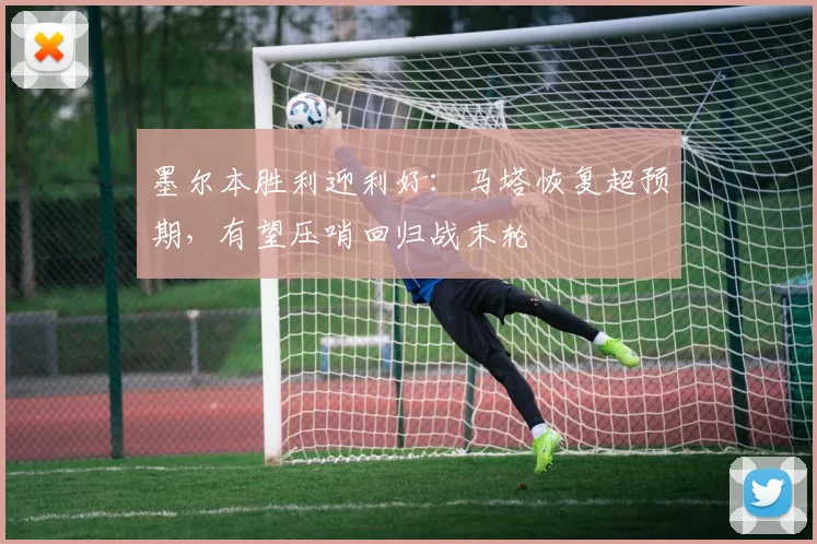 墨尔本胜利迎利好:马塔恢复超预期,有望压哨回归战末轮